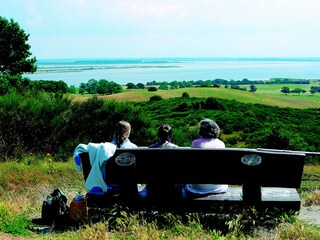 Ruhe und Erholung - Autofreies Hiddensee