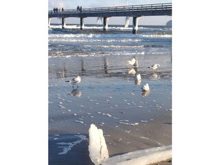 The pier in winter.