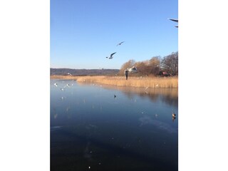 By the Schmachter See lake.