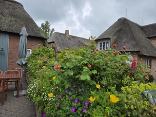 Schöne Sommerzeit am Brarenhof