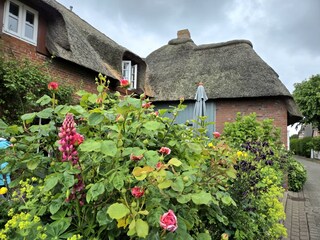 Sommerzeit am Brarenhof