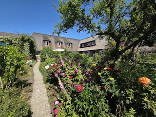 Hinter dem Haus wartet ein alter eingewachsener Garten