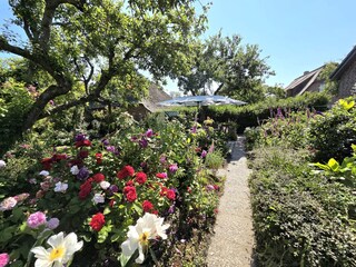 Sommer auf dem Brarenhof