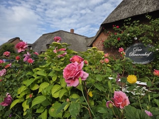 Herzlich Willkommen !