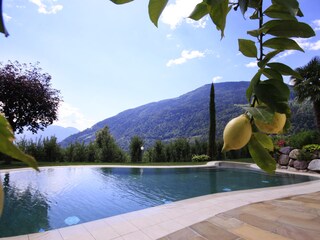 Appartamento per vacanze Algund Registrazione all'aperto 7