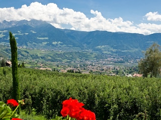 Appartamento per vacanze Algund Registrazione all'aperto 16