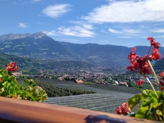 Appartamento per vacanze Algund Caratteristiche 24