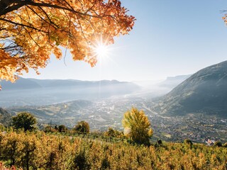 Appartamento per vacanze Algund Ambiente 28