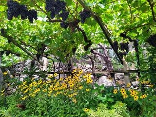 Appartamento per vacanze Algund Ambiente 33