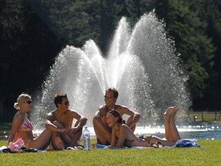 Appartamento per vacanze Ramsau am Dachstein Ambiente 36