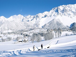 Vakantieappartement Ramsau am Dachstein Omgeving 16