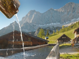 Appartement de vacances Ramsau am Dachstein Environnement 28