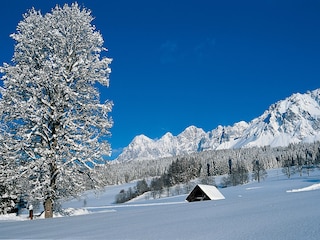 Vakantieappartement Ramsau am Dachstein  35