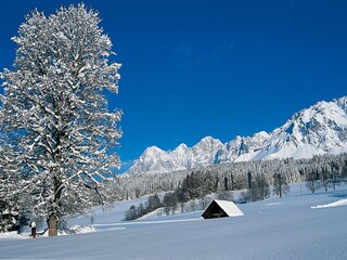 Vakantieappartement Ramsau am Dachstein Omgeving 19