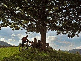 Appartamento per vacanze Ramsau am Dachstein Ambiente 37
