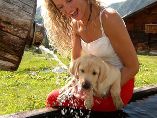 Apartamento de vacaciones Ramsau am Dachstein Entorno 15