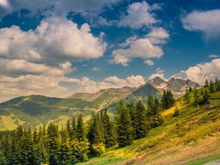 Apartamento de vacaciones Ramsau am Dachstein Entorno 24