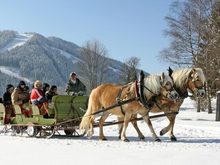 Appartamento per vacanze Ramsau am Dachstein Ambiente 23