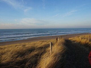 Vakantiehuis Wijk aan Zee Omgeving 28