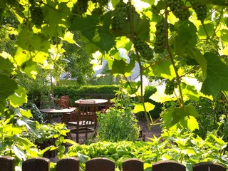 Blick in den Garten mit Sitzgruppe