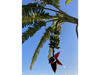 Appartamento per vacanze Sanremo Registrazione all'aperto 10