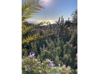 Appartamento per vacanze Sanremo Ambiente 31