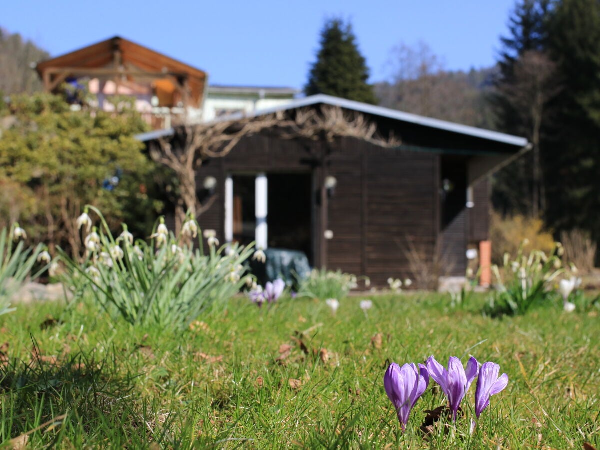 Ferienhaus Porschdorf Außenaufnahme 7