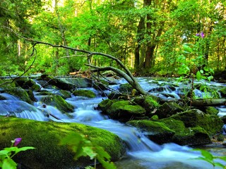 Bärnloch bei Wegscheid