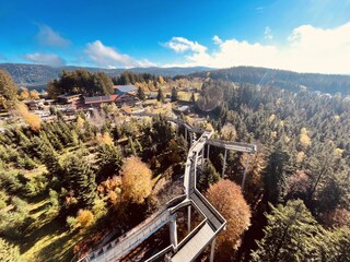 Waldwipfelweg St. Engelmar