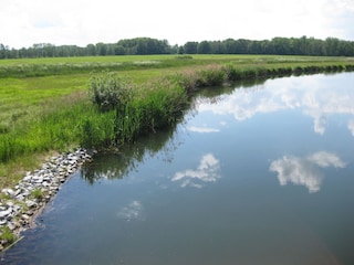 Spreelandschaft bei Altzauche