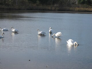 Sicht vom Gurkenradweg  nach Schlepzig