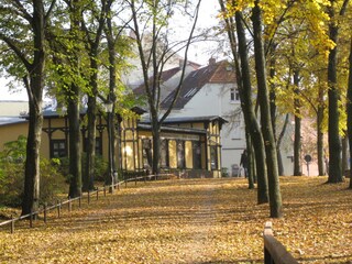 Weg aus dem Hain zu Ihrer Unterkunft geradezu