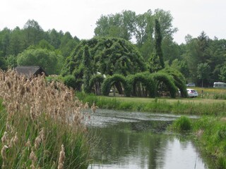 Weidendohm im Museumsdorf Schlepzig, nur 8 km entfernt