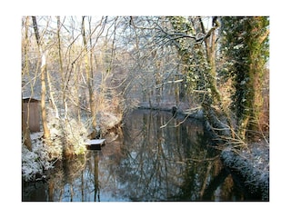 Die Berste, welche durch den Hain fließt im Winter