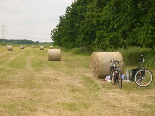 Bei der Heuernte eine Ruhepause mit dem Rad