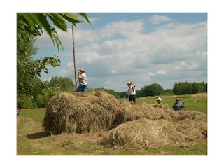 Heuernte - genannt  "Schobern"