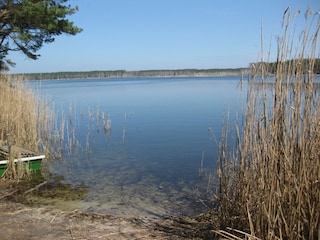 Radweg  an den Fischteichen nach Schlepzig entlang