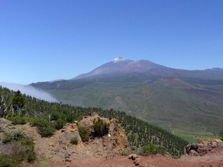 Appartamento per vacanze Puerto de la Cruz Ambiente 19