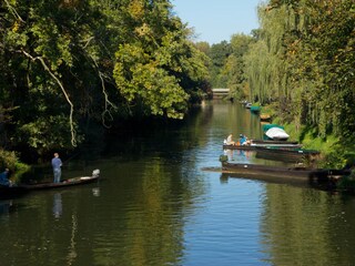 Appartamento per vacanze Lübben Ambiente 16