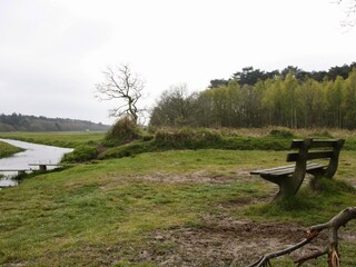 Vakantiehuis De Koog Omgeving 19