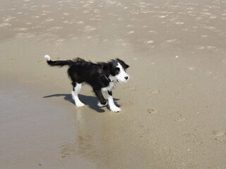 Casa per le vacanze De Koog Ambiente 23