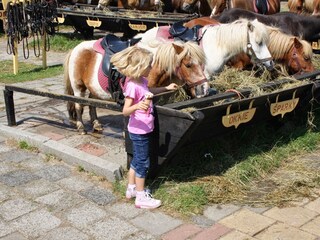 Casa per le vacanze De Koog Ambiente 26