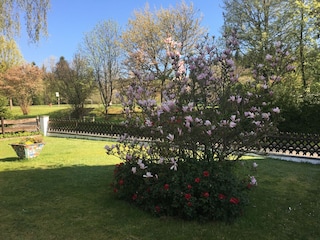 Vor dem Ferienhaus