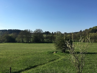 Ausblick auf das Söterbachtal!