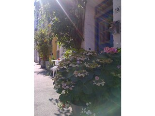 Maison de vacances Lübeck-Altstadt Enregistrement extérieur 3