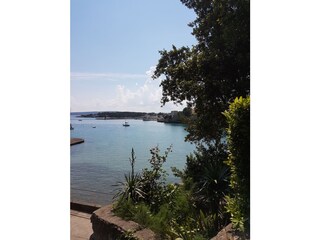 View from the garden
