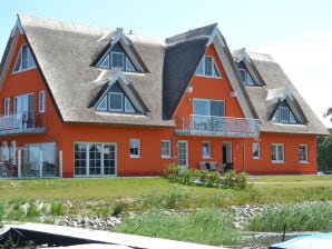 Holiday apartment Oystercatchers in the harbur house - Vieregge - image1