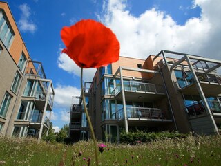 Appartamento per vacanze Travemünde Registrazione all'aperto 3