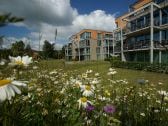 Wildblumenwiese vor der Wohnanlage