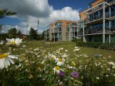 Wildflower meadow in front of the residential complex